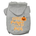 thumbnail image 6 of Halloween Pet, Dog  Cat Hoodie Screen Printed, "Cutest Pumpkin In The Patch", 6 of 10