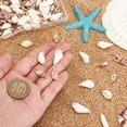 thumbnail image 3 of Colgantes Charm PH PandaHall con forma de concha natural, 100 unidades, 17 — 29 mm, 3 of 6