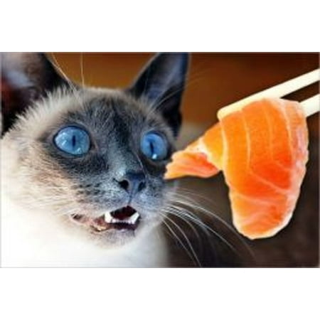 Feeding a Raw Meat Diet to Your Pets - eBook (Best Meat To Feed Cats)