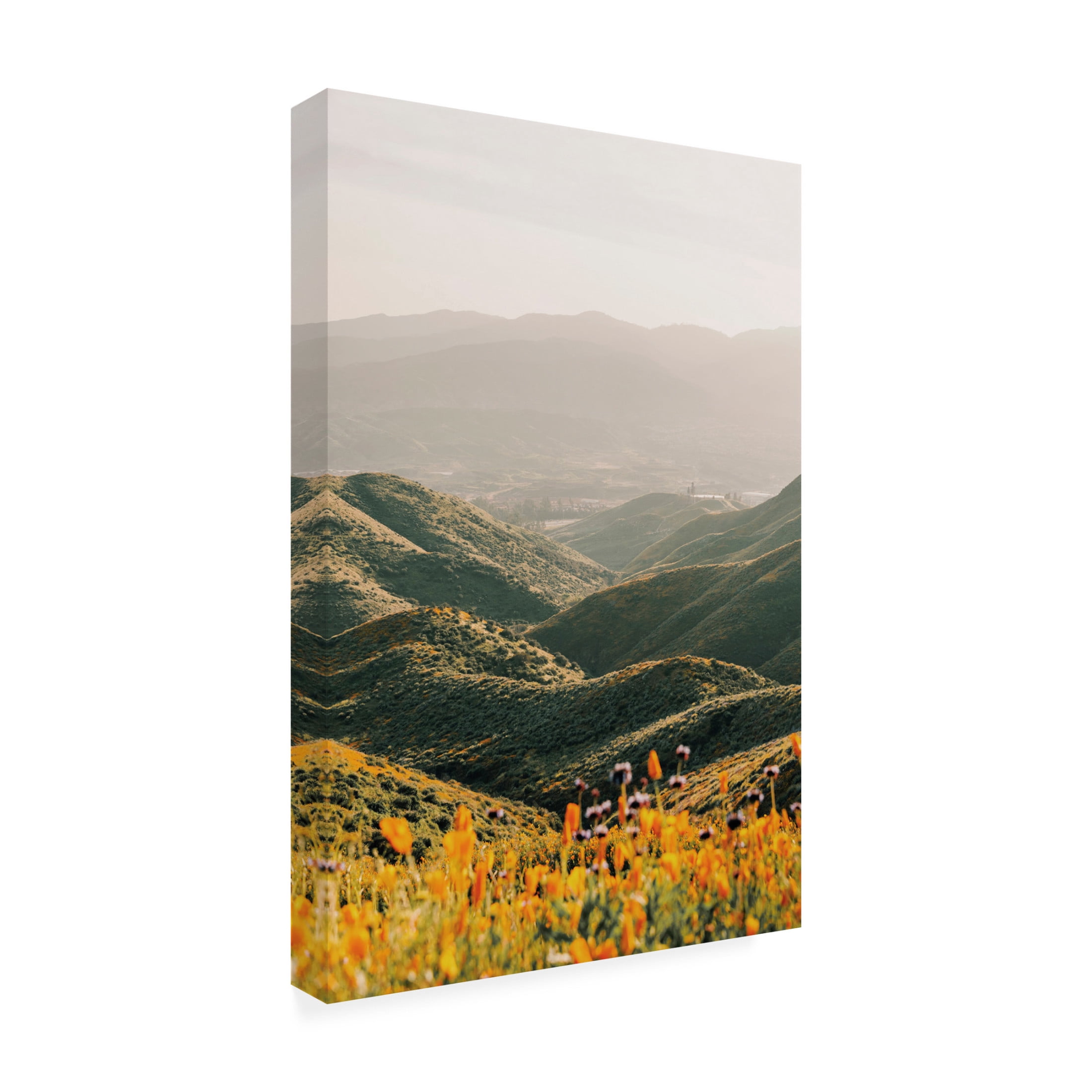 Canvas Wall Art - Krista Broadway 'Palomar' Wall Art for Living Room, Bedroom, or Office Décor by Trademark Fine Art - 22 x 32 Inches