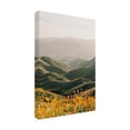 thumbnail image 4 of Canvas Wall Art - Krista Broadway 'Palomar' Wall Art for Living Room, Bedroom, or Office Décor by Trademark Fine Art - 22 x 32 Inches, 4 of 4