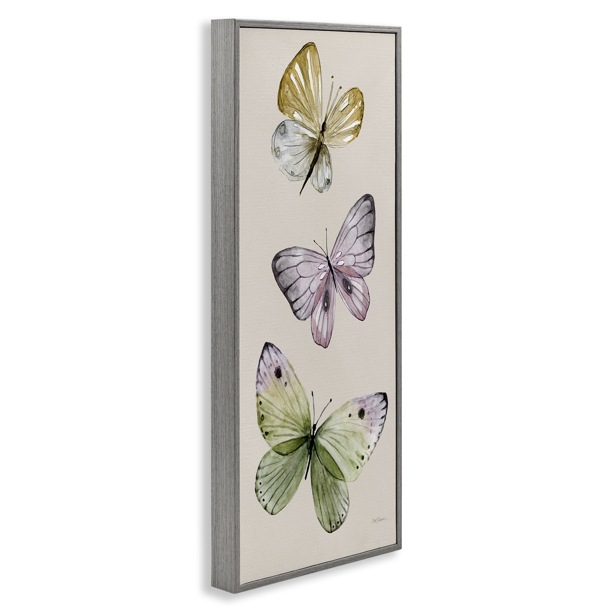 Stupell Industries Three Timeless Butterflies Animals & Insects Painting Gray Framed Art Print Wall Art, 10 x 24