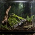 thumbnail image 4 of zhonghuaying Non-Hollow Artificial Rock, Moss Rock, Decorative Rocks, PU Foam Stone for Outdoor Landscaping Yard, Indoor Window Display(8.26x10.23 in), 4 of 8