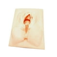 thumbnail image 3 of Simulador de episiotomía de silicona con accesorio para práctica perineal Cortar por la mitad, 3 of 9