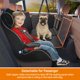 thumbnail image 5 of Funda para Asiento de Coche para Perros iBuddy Espacio Grande Impermeable 190kg, 5 of 8