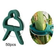 thumbnail image 2 of 50 pinzas para plantas, pinzas de jardín, pinzas de fijación duraderas, pinzas para plantas, soporte Golondrina L, 2 of 9