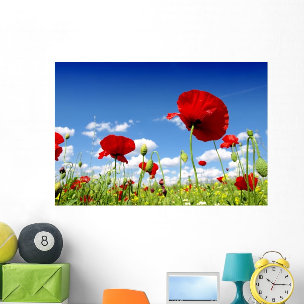 Red Poppy and Wild Wall Mural by Wallmonkeys Peel and Stick Graphic (48 ...