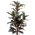 thumbnail image 3 of Northlight 60" Dracaena Artificial Potted Plant - Red/Green, 3 of 7