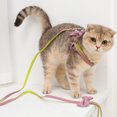 thumbnail image 4 of Flmtop Pet Harness Bowknot Decor Adjustable Polyester Dog Safe Chest Strap Leash for Walking Purple, 4 of 9