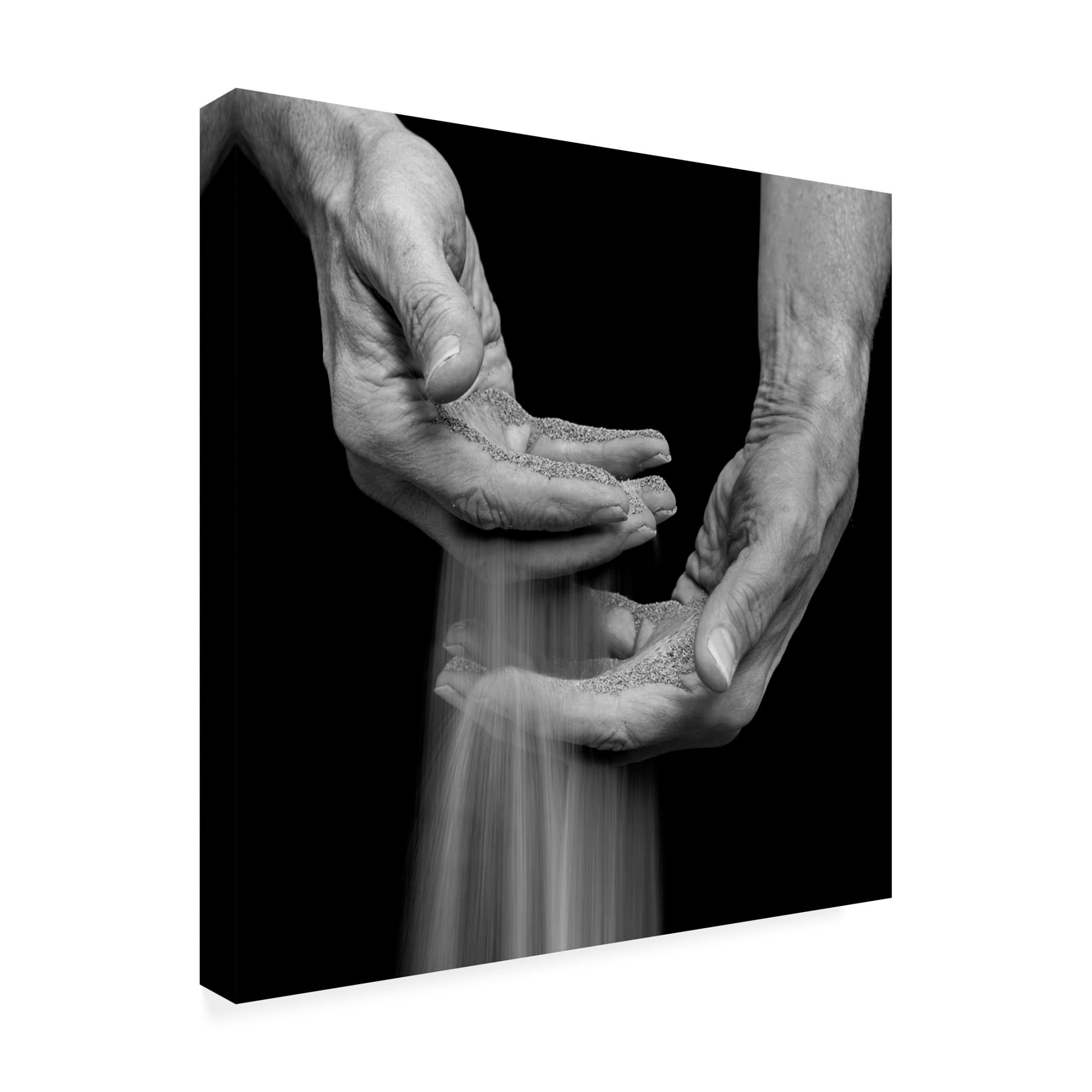 Trademark Fine Art Nadine Levin Sands of Time Canvas Wall Art