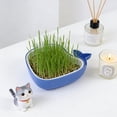 thumbnail image 5 of AuroraX Cat Grass Planter Hydroponic Cat Grass Kit Indoor Whales Shaped Cute No Mess Pet Supplies, 5 of 6