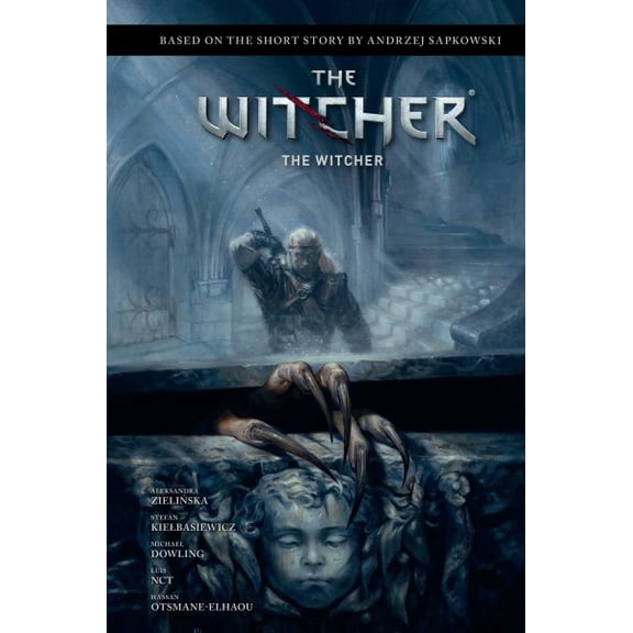 Pre-Owned Witcher Andrzej Sapkowski's the Witcher: The Witcher (Hardcover)