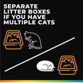 thumbnail image 4 of ARM & HAMMER Health IQ Health-Monitoring Cat Litter Additive, with Color Changing Health Indicators, 184g (Pack of 2), 4 of 6