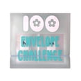 thumbnail image 4 of LSLJS Binder Label 100Envelope Cash Stuffing Saving Challenge Binder, Home Kitchen Gadgets Accessories, 4 of 5