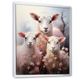 thumbnail image 2 of Designart "White Pink White Pink Sheep delicate Ewes I" Animals Floater Framed Canvas Wall Art, 2 of 7