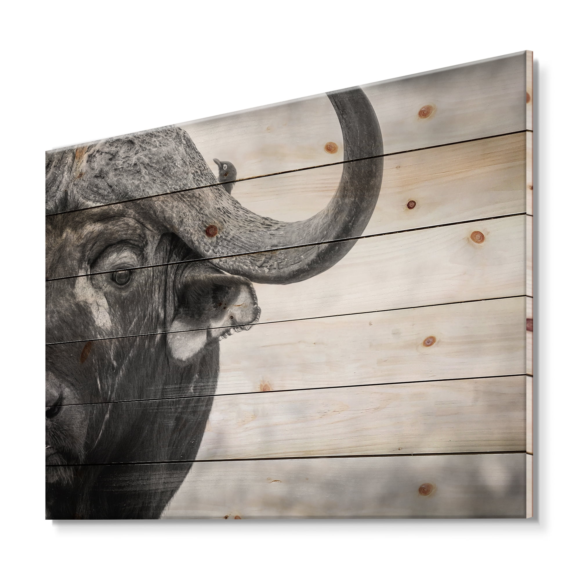 Designart 'Black and White Portrait Of Buffalo III' Farmhouse Print on Natural Pine Wood