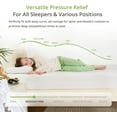 thumbnail image 3 of &nbsp;YANGLI 8 Inch Twin Green Tea Memory Foam Mattress | Natural Cooling & Pressure Relieving, Medium Firm Support, CertiPUR-US Certified, 75"x38"x8", 3 of 7