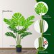 thumbnail image 2 of Palmera Artificial 7 Troncos - Planta Tropical simulada en Maceta con Tiesto Negro - Plantas Decorativas para salón, Oficina, Interior y Exterior, 2 of 4