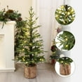 thumbnail image 2 of 4Ft Pre-Lit Winter Green Artificial Evergreen Christmas Tree Potted, 2 of 11