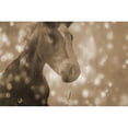 thumbnail image 2 of Phillip, Jamie 18x13 Black Modern Framed Museum Art Print Titled - Browney Farm Horse, 2 of 4