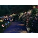 thumbnail image 5 of Solar Garden Stake Light Led Butterfly Lamp Outdoor Pathway Lawn Patio, 5 of 5