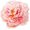 Light Pink, variant on 6 Inch Peony Flower Hair Clip Bridesmaid Pin Up Flower Brooch for Wedding Party Festivals (Light )