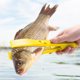 thumbnail image 4 of Agarre corporal de pesca, Clip multifuncional para pesca, suministros de pesca, accesorios, 4 of 8
