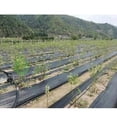 thumbnail image 2 of Barrera de malezas tejida PE para jardín de cubierta de , bloque de malezas de mantillo de 2x5m + clavijas de 10x Soledad Cubierta de tierra del jardín, 2 of 10