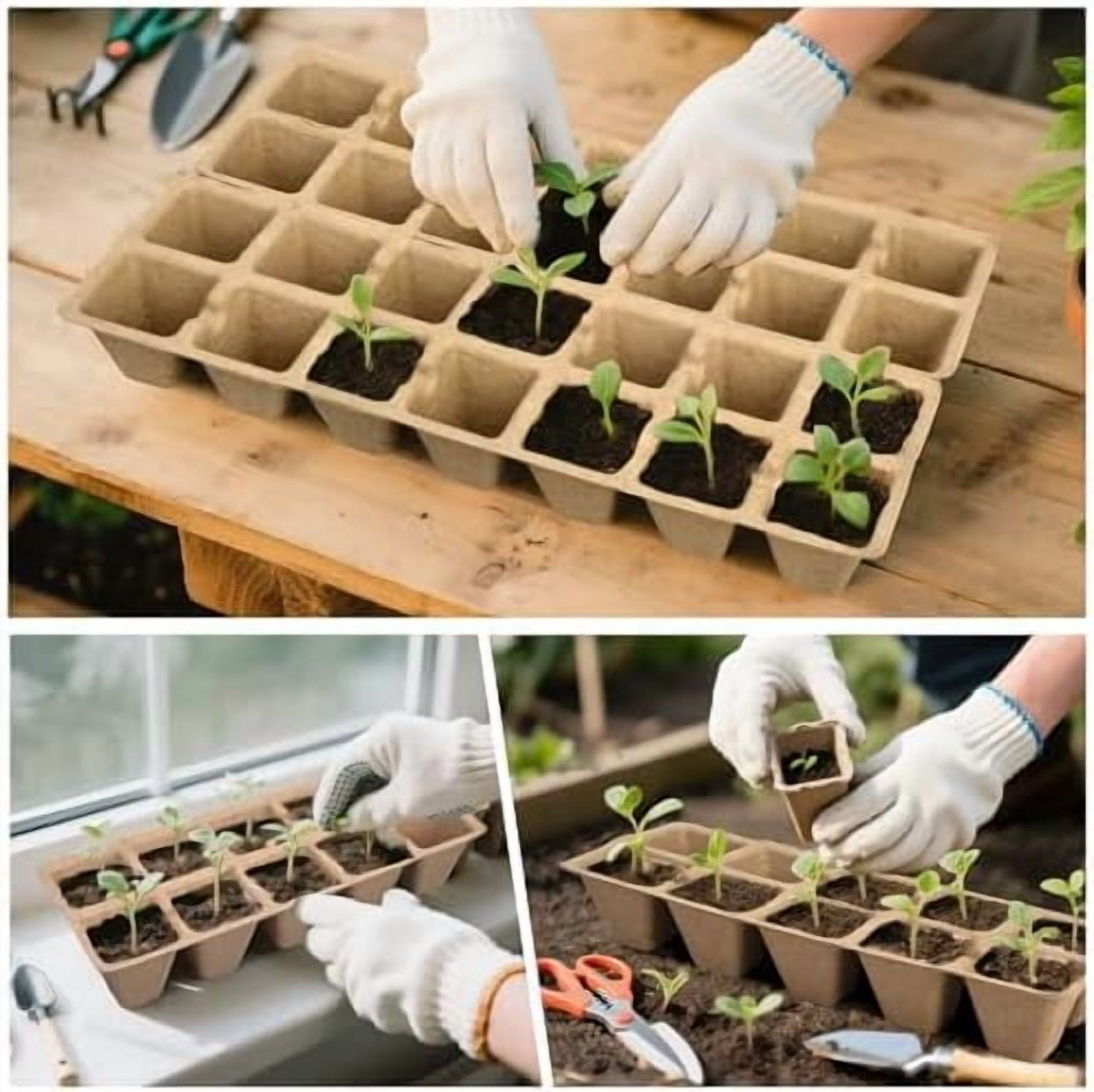 200 Cells Peat Pots, Seed Starter Trays Planting Trays for Seedlings, 20 Pack Germination Trays Peat Pot with 20 Labels