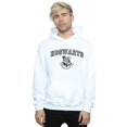 thumbnail image 2 of Harry Potter Mens Hogwarts Crest Hoodie, 2 of 3