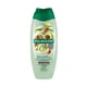 thumbnail image 1 of Jabón Líquido Corporal Palmolive SMOOTHie Almendra Aguacate y Leche Exfoliante 390 ml, 1 of 4