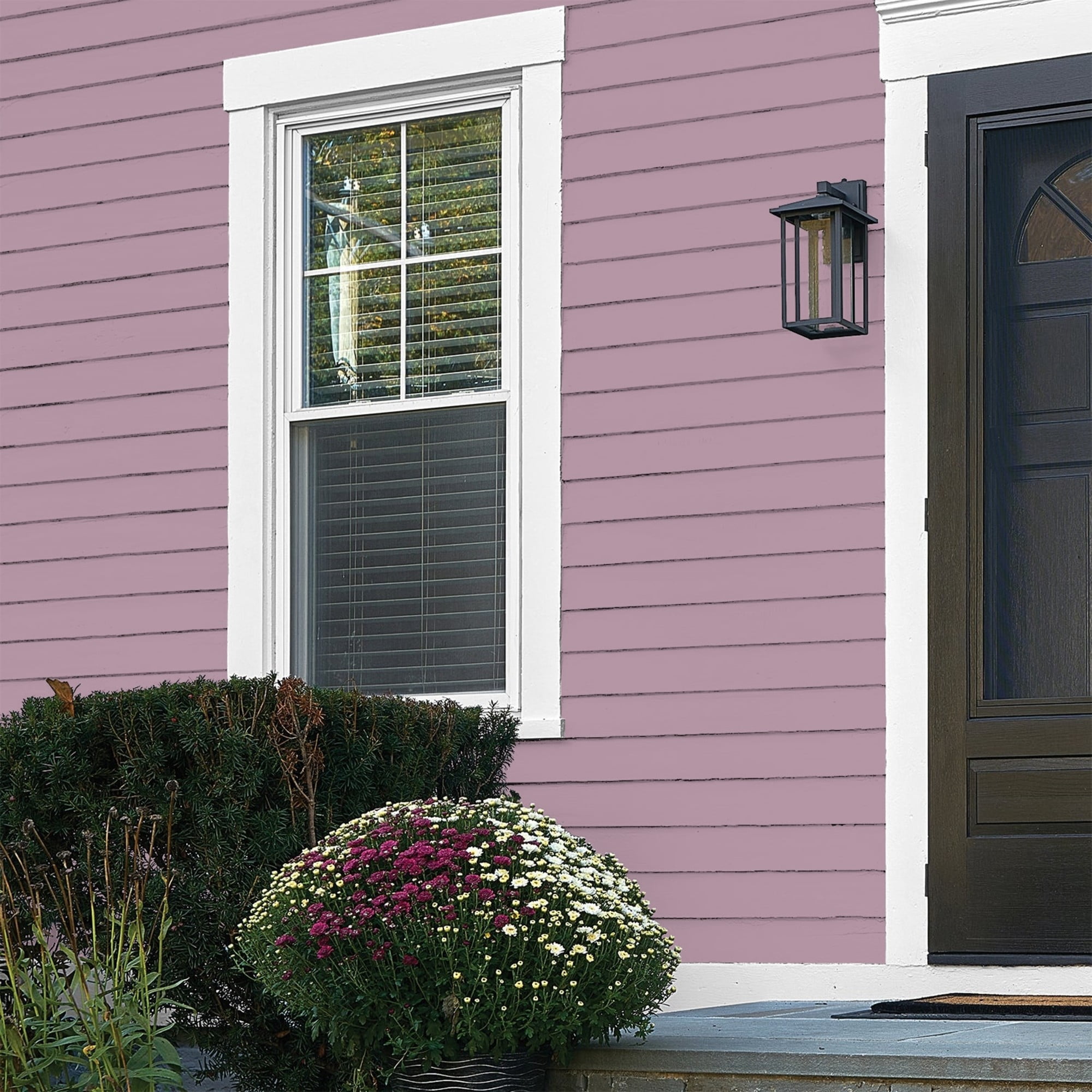 Glidden Fundamentals Ashberry / Purple, Flat Exterior Paint, 1 Quart