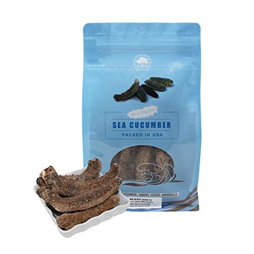 DOL Wild Alaska Red Sea Cucumber Dried Sea Cucumber in Bag (Large 1lb