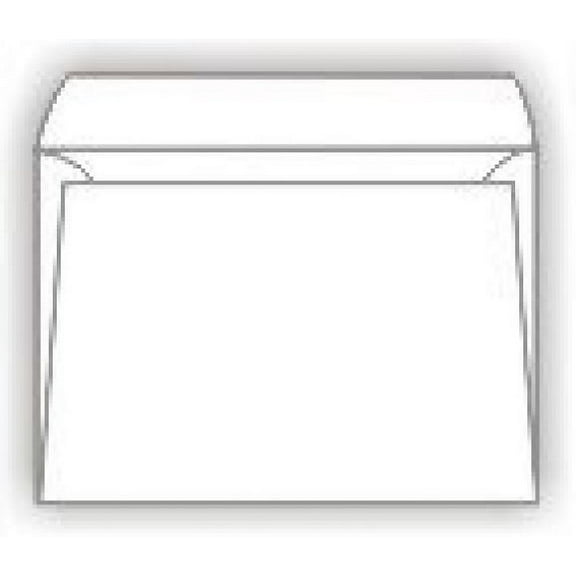 Booklet Envelopes - 24lb WHITE WOVE - (6in x 9in) - 500 box