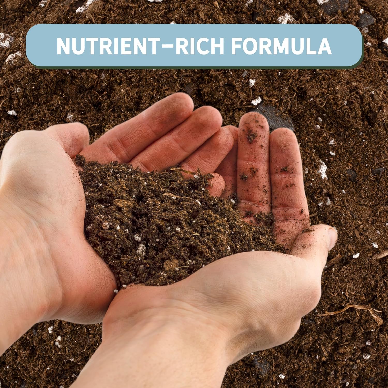 Money Tree (4 Quarts), Potting Mix for Planting/Repotting Pachira Aquatica, All-Natural Custom Blend