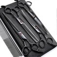 thumbnail image 1 of Sunrain 7.0in Stainless Steel 6 In 1 Professional Dog Grooming Scissors Kit, Heavy 4cr Tit-780, 1 of 5