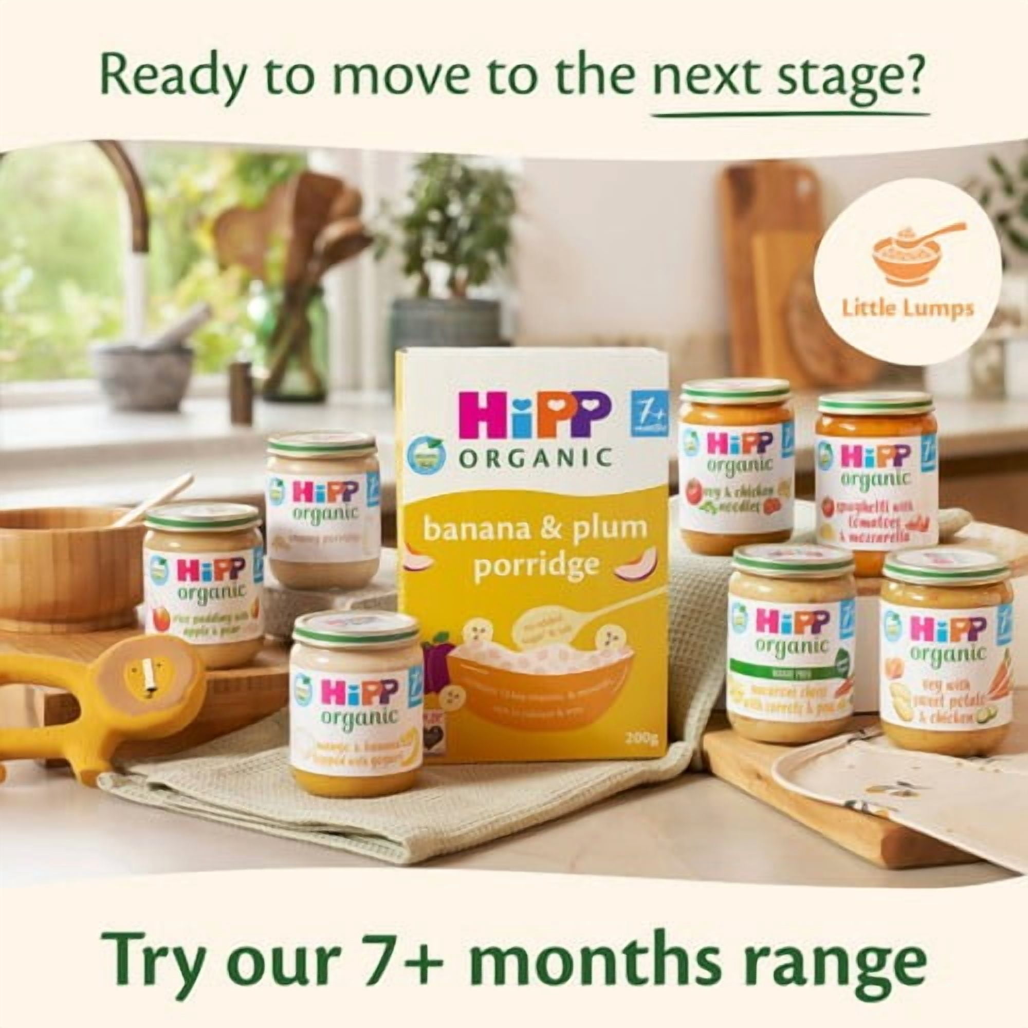 HiPP Organic Vegetables with Rice & Chicken Baby Food Jar 6+months 125g, British Import (Pack of 2)