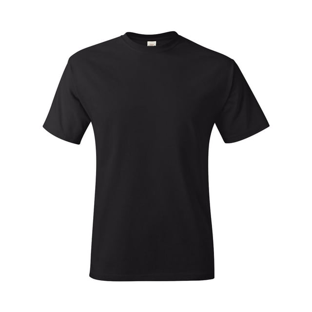 Hanes Men's Authentic-T T-Shirt
