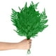 thumbnail image 1 of Paquete de 10 helechos, vegetación natural seca de 15" con tallos para manualidades de resina, decoraciones de boda en casa, plantas secas [Verde oscuro], 1 of 1