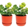 thumbnail image 1 of Set De 2 Macetas Elly Decor Con Plato Drenaje Interior Exterior 12 Pulgadas Terracota, 1 of 5