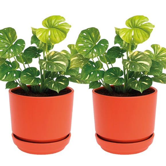 Set De 2 Macetas Elly Decor Con Plato Drenaje Interior Exterior 12 Pulgadas Terracota