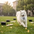 thumbnail image 6 of Graduation Pet Bandana, Funny Graduation Theme Dog Scarf, Reversible Triangle Bib for Graduation Party, Pet Photo Props D, 6 of 7