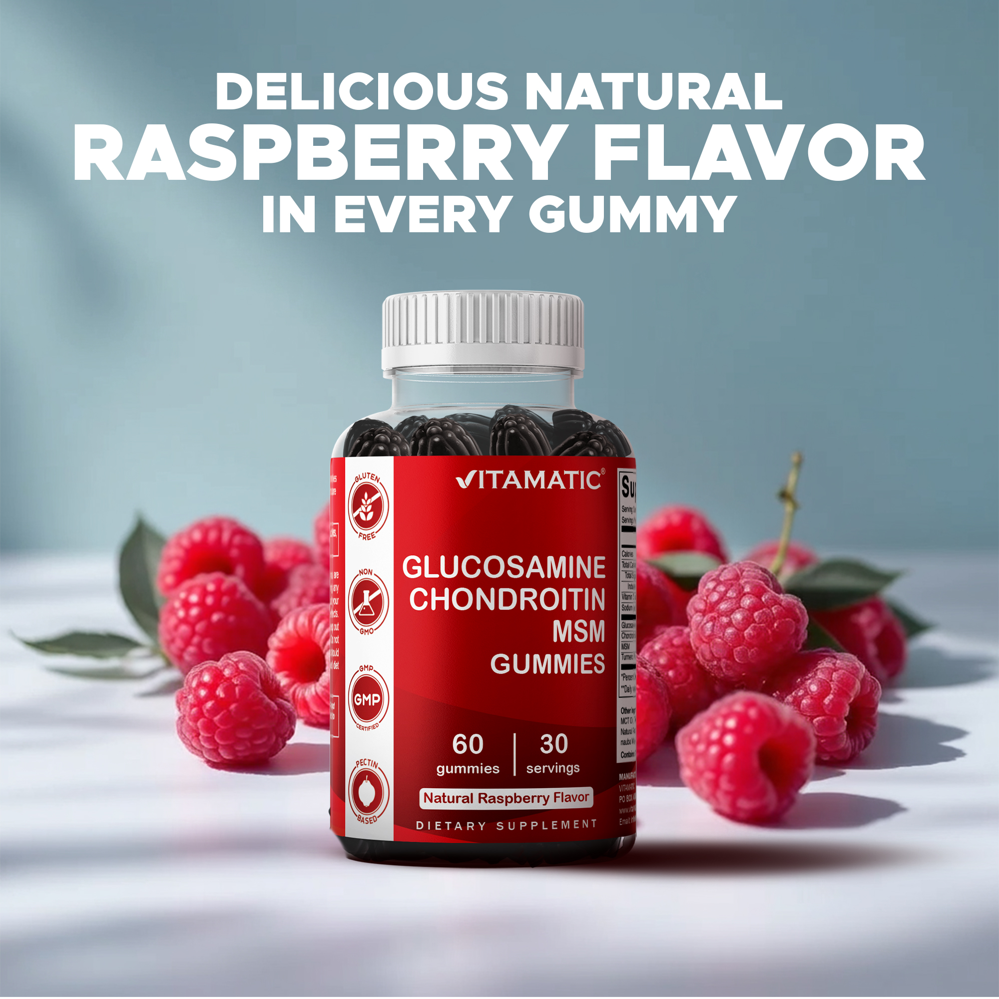 2 Pack Vitamatic Glucosamine Chondroitin Gummies with MSM & Vitamin E - Joint Support - 60 Pectin Based Gummies