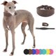 thumbnail image 3 of Leather Dog Collar for Whippets, Salukis, and Greyhounds - Soft Padded Adjustable Collar for Large Breeds, Durable Material, 3 of 5