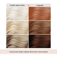 thumbnail image 5 of Hair Dye Semi Permanent Hair Color Depositing Conditioner Color Conditioner 5.28Fl Oz, 5 of 12