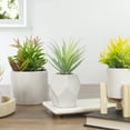 thumbnail image 2 of Northlight Artificial Sword Grass in a White Geometric Ceramic Pot - 7.5", 2 of 5