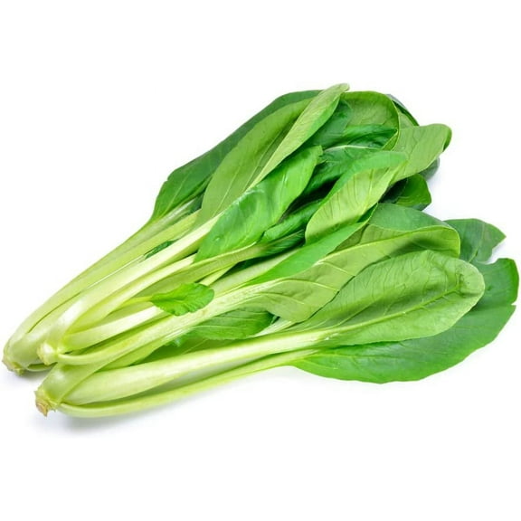 100 Komatsuna Mustard Seeds - Summer Fest - Hybrid - Ships from Iowa, USA