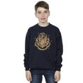 thumbnail image 2 of Harry Potter Boys Gold Hogwart Crest Sweatshirt, 2 of 3