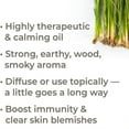 thumbnail image 7 of Plant Therapy Aroma 10mL Essential Oil, 1/3 Oz, Organic Vetiver (2 Pack), 7 of 7