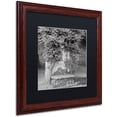 thumbnail image 2 of Trademark Fine Art "Campagnia II" Canvas Art by Alan Blaustein, Black Matte, Wood Frame, 2 of 4